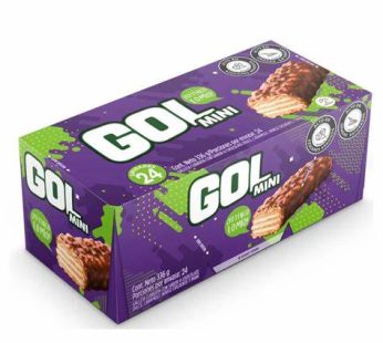 GOL MINI X 24 DISPLAY